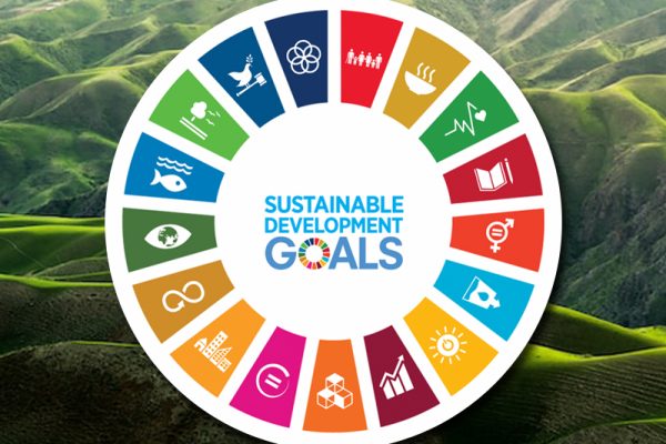 지속 가능한 개발 목표